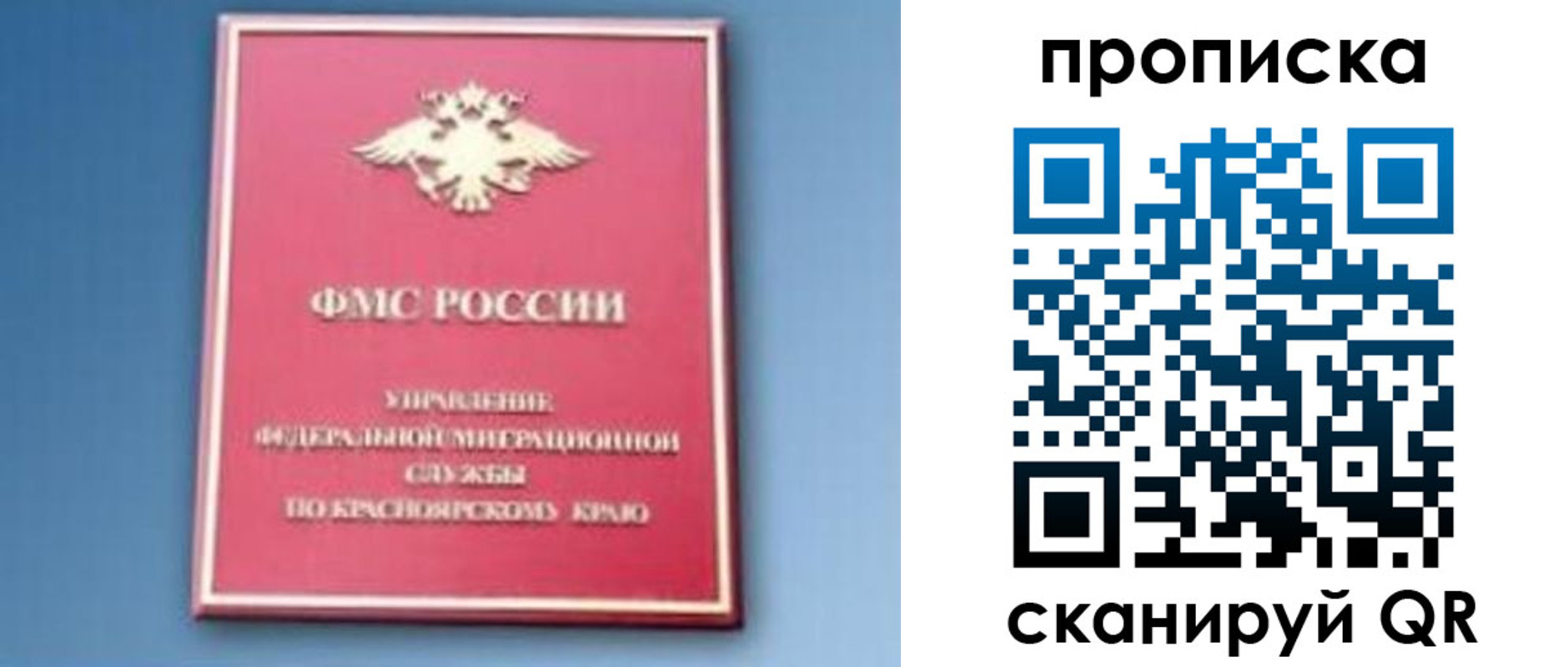 прописка для военкомата в Елизово
